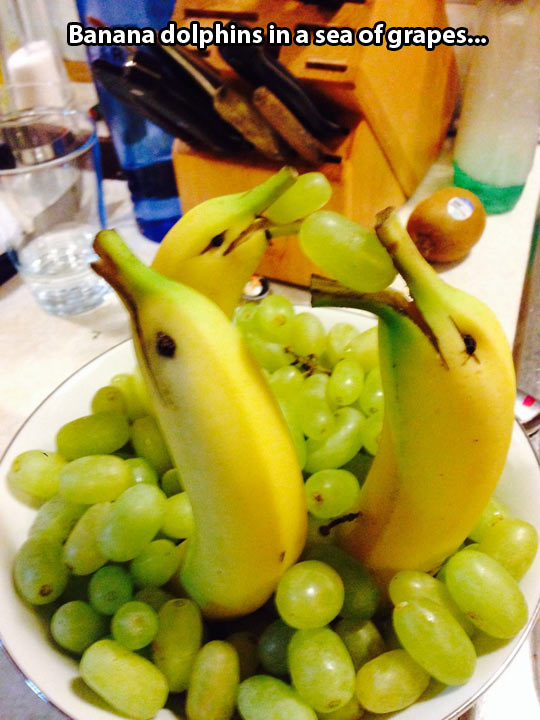 funny-dolphin-banana-grape-bowl