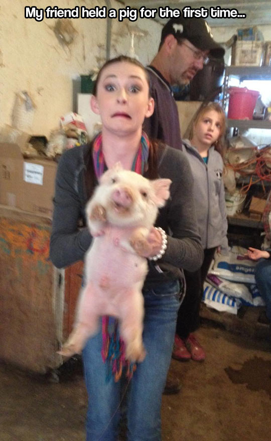 Holding a pig for the first time…