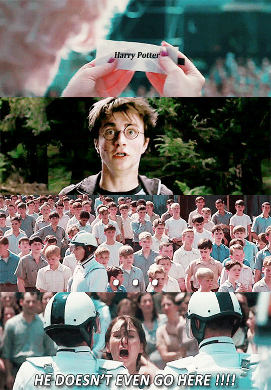 funny-gif-Harry-Hunger-Games