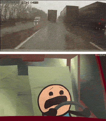One of those perfect gif combos...