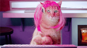 funny-gif-fabulous-cat-wearing-wig-computer