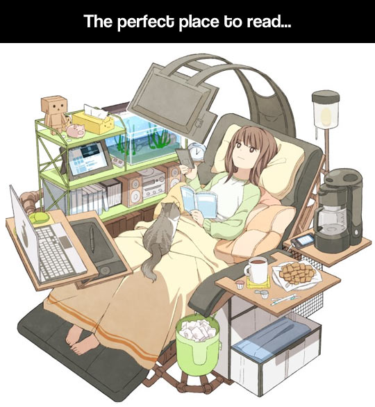 funny-girl-cat-comfortable-bed