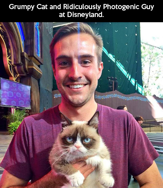funny-guy-grumpy-cat-photogenic