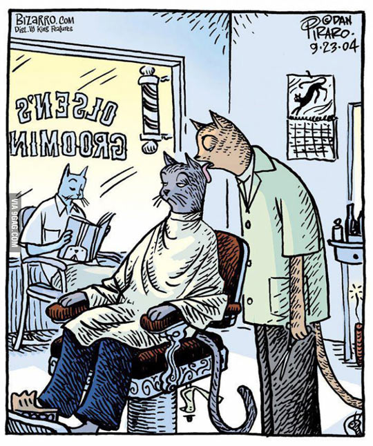 funny-hairdresser-cat-barber-comic