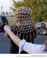 Net hairstyle