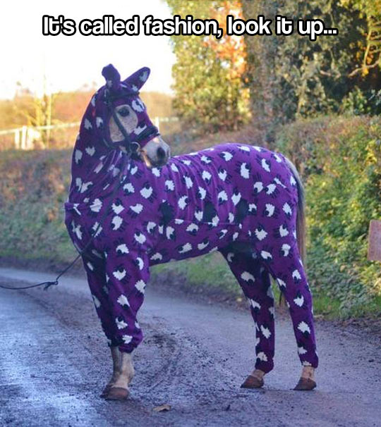 funny-horse-costume-purple-fashion