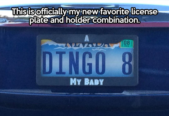 funny-license-plate-combination-car