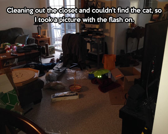 How to easily find your cat…