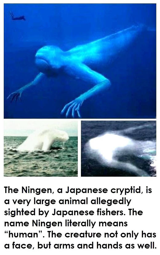 funny-mermaid-real-Japanese-ocean