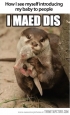 Whenever I introduce my baby…