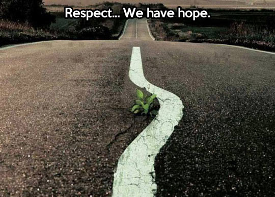 funny-route-plant-tree-middle