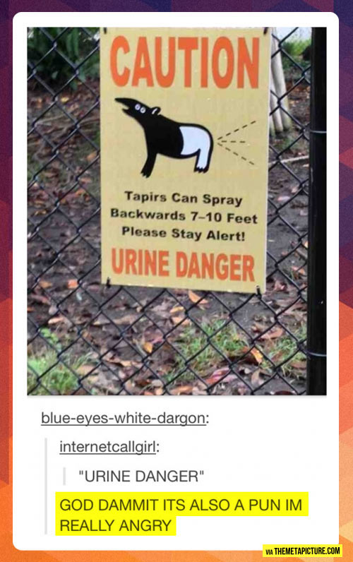 funny-sign-danger-tapirs