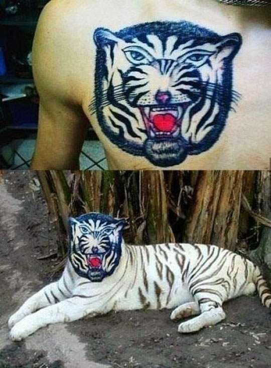 That’s the most realistic tattoo I’ve ever seen…