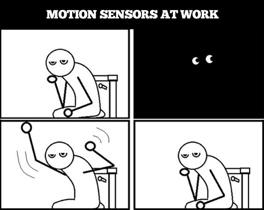 Motion sensor lights…