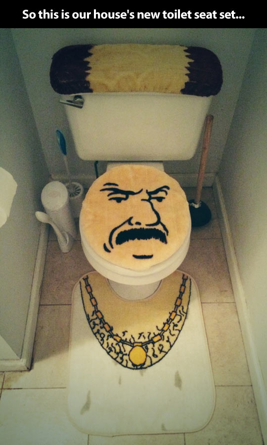 New toilet seat set…