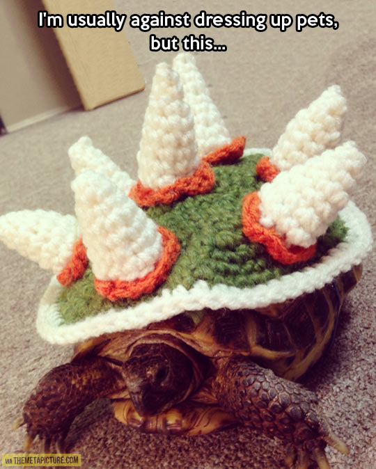 funny-turtle-costume-wool-Koopa