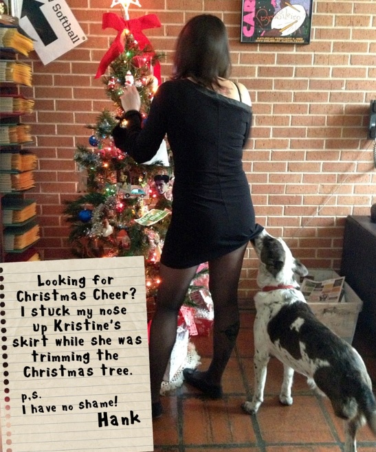 The Best of Dog Shaming – Christmas (21 pics)1
