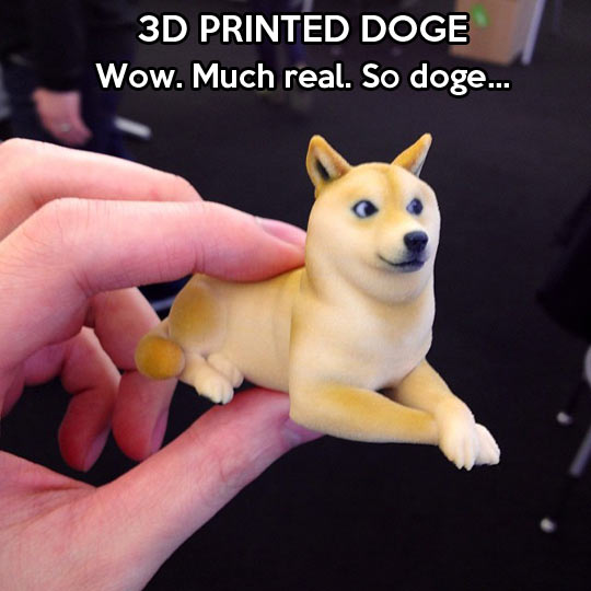 Doge print…