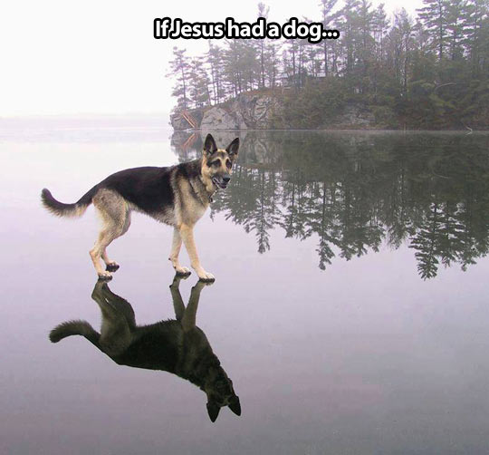 Jesus’ dog…