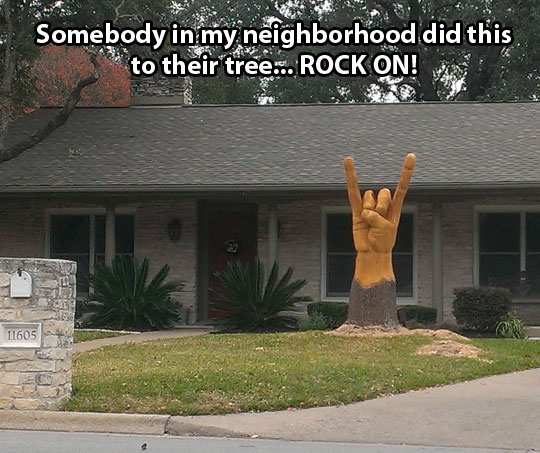 I’ve got the most awesome neighbors…