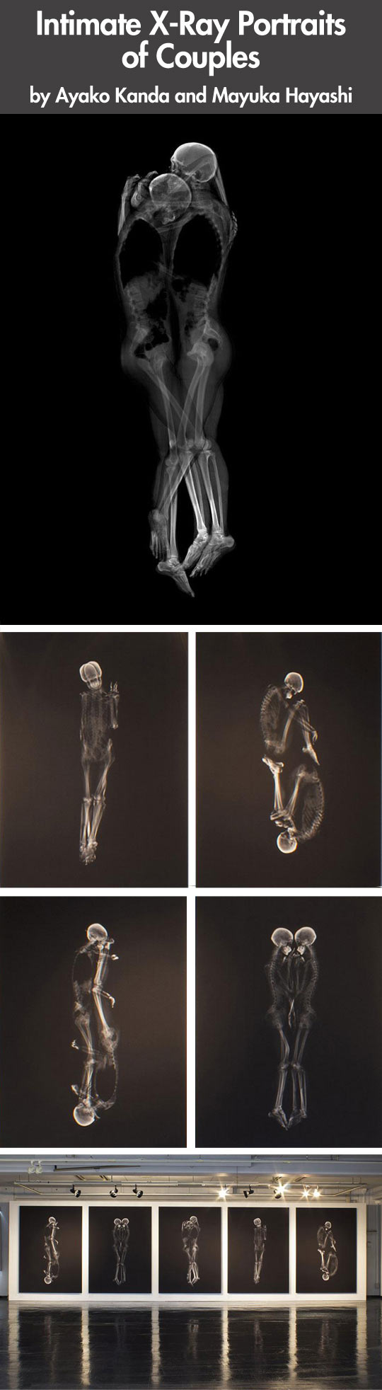 Intimate X-Ray Portraits…
