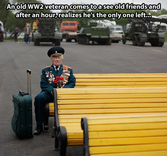 cute-veteran-WW2-alone-sitting