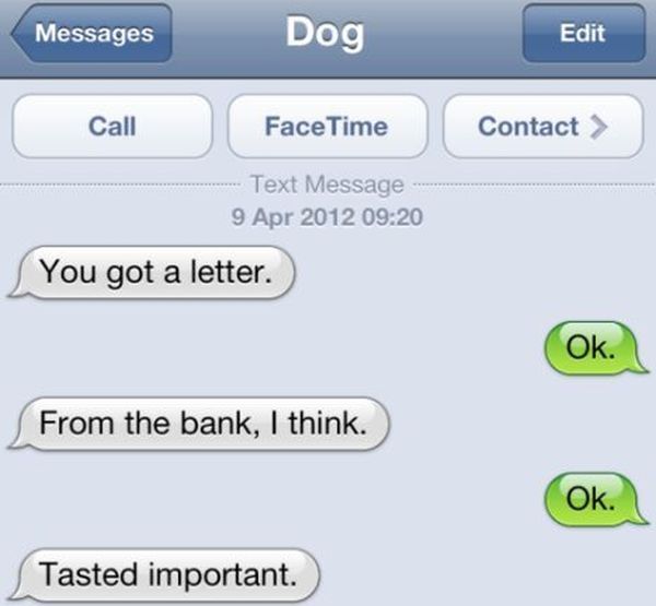 dog-owner-text-message