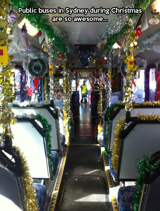 funny-Christmas-Sydney-buses-decoration