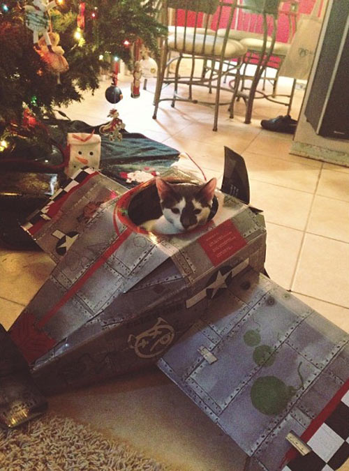 My kitten got his own plane for Christmas…