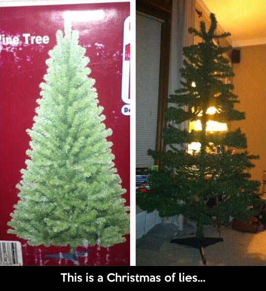 Christmas tree disappointment…