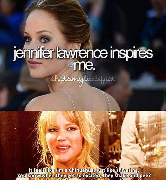 funny-Jennifer-Lawrence-inspire-Chihuahua-excited