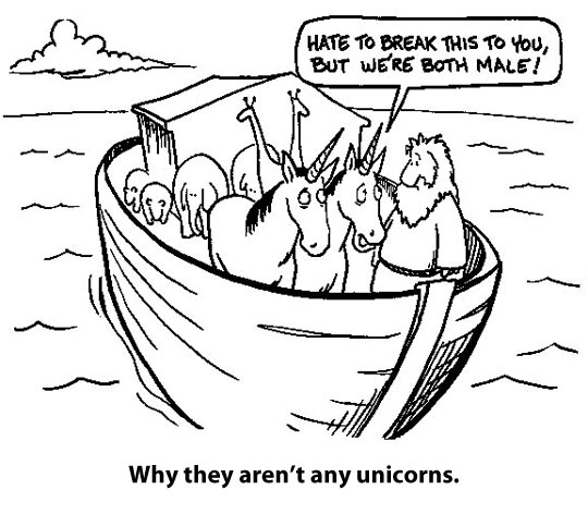 What actually happened to unicorns…