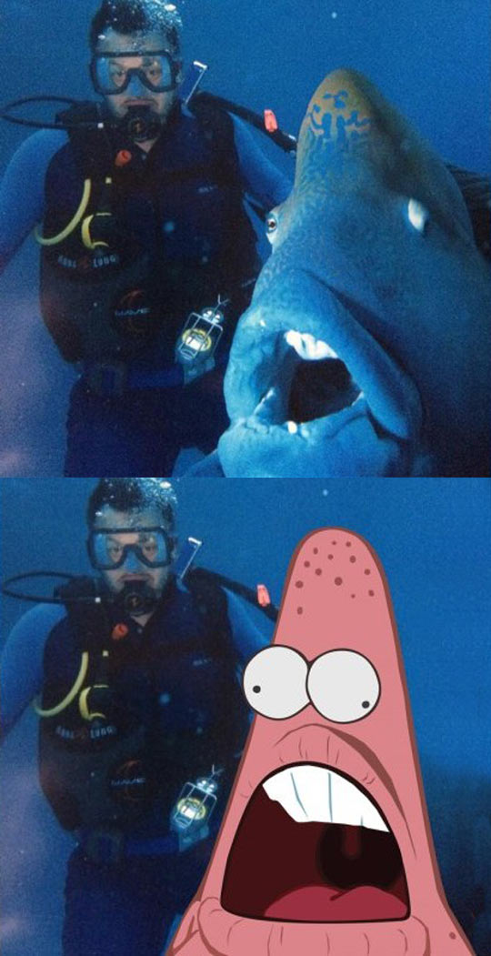funny-Patrick-star-diver-shark-sea