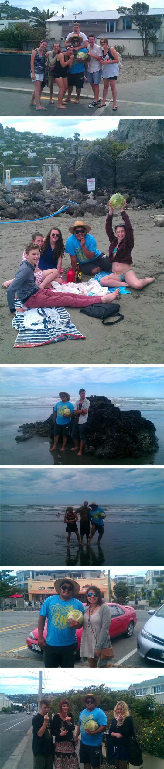funny-beach-cabbage-jealous-friends-sand