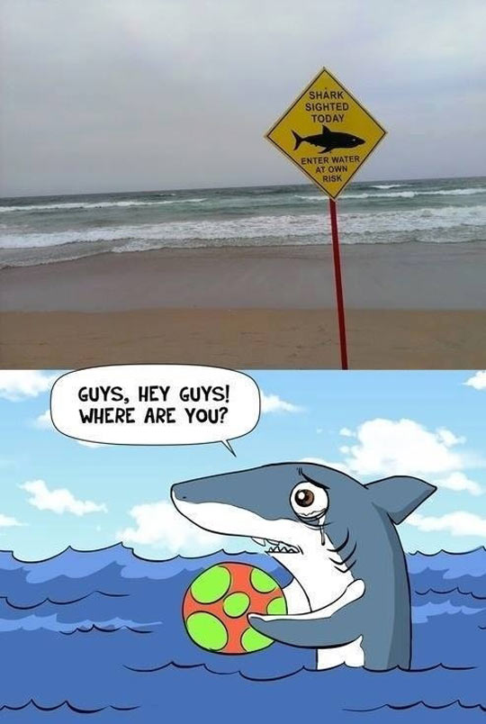 Poor shark…