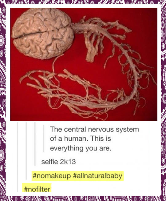 funny-brain-no-filter-selfie-Tumblr