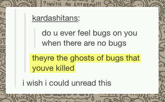 funny-bugs-ghosts-Tumblr