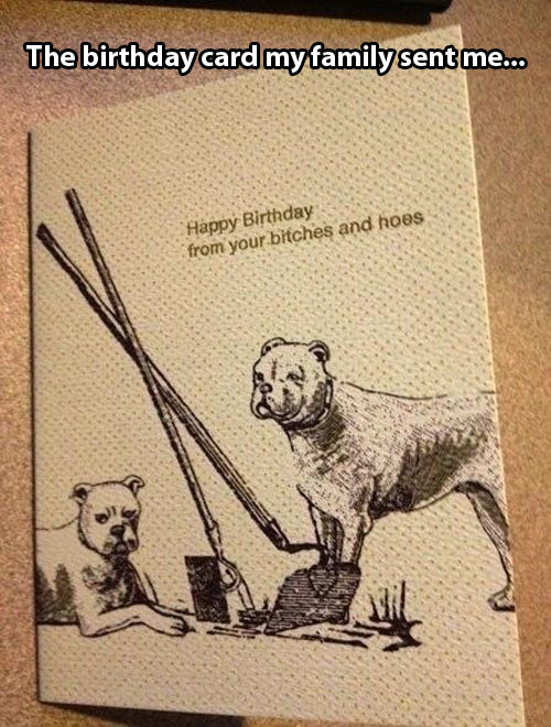 funny-card-birthday-family-dogs
