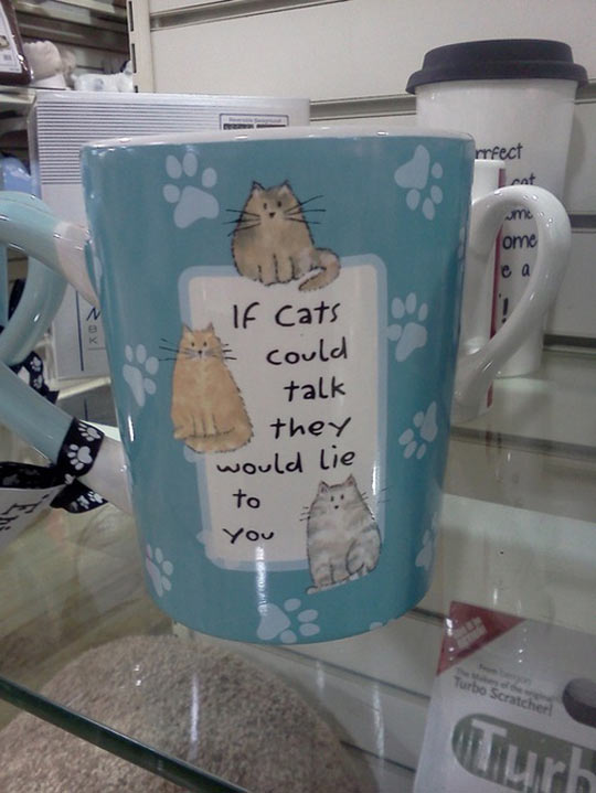 funny-cat-mug-lie-talk