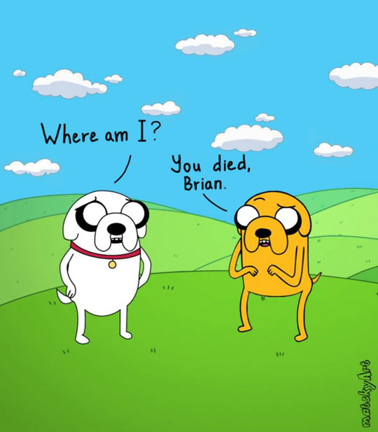 Not all dogs go to Heaven…