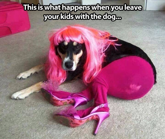 When your kids are left alone with the dog…