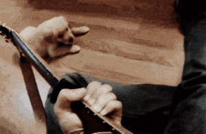 I’m gonna play some guitar, dogs love guitar...