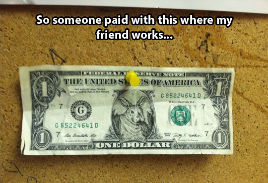 funny-fake-dollar-bill-bunny