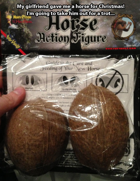 A horse for Christmas…