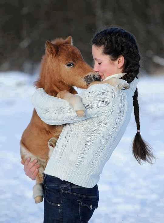 Just a girl holding a horse…