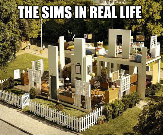 Real life Sims…