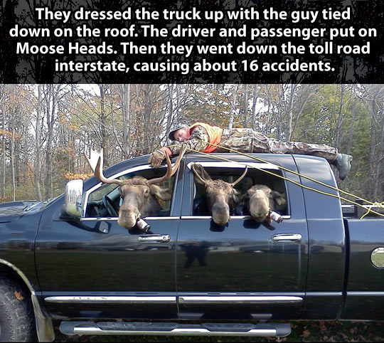 funny-hunter-moose-truck-forest-prank