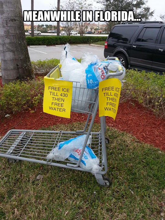 funny-ice-water-melting-parking
