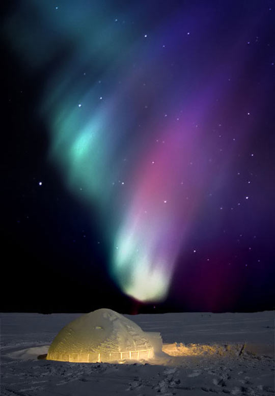 funny-igloo-Northern-lights-night