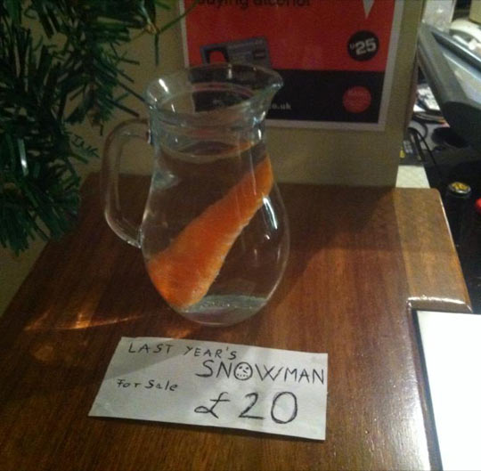 funny-jar-water-carrot-price-snowman